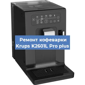 Чистка кофемашины Krups K2601L Pro plus от накипи в Краснодаре